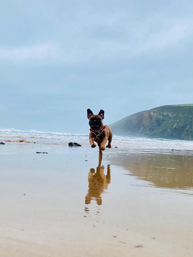 Daphne'S Lodge Mawgan Porth Dış mekan fotoğraf