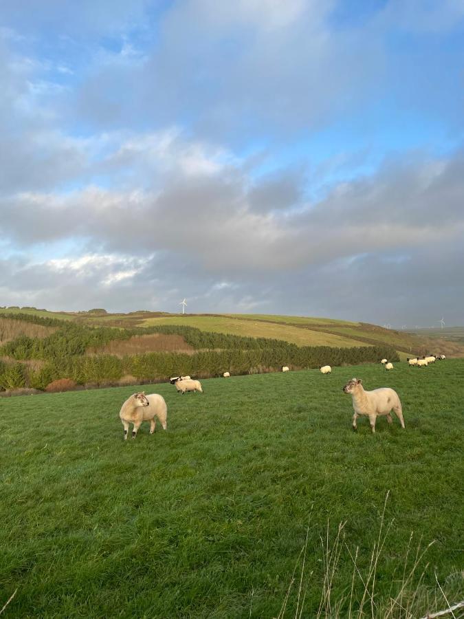Daphne'S Lodge Mawgan Porth Dış mekan fotoğraf